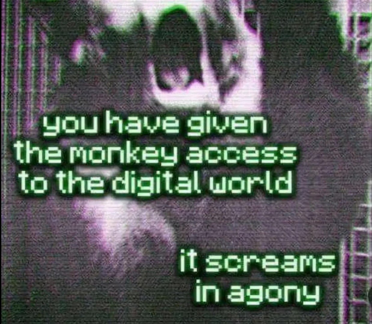 monkey · digital world